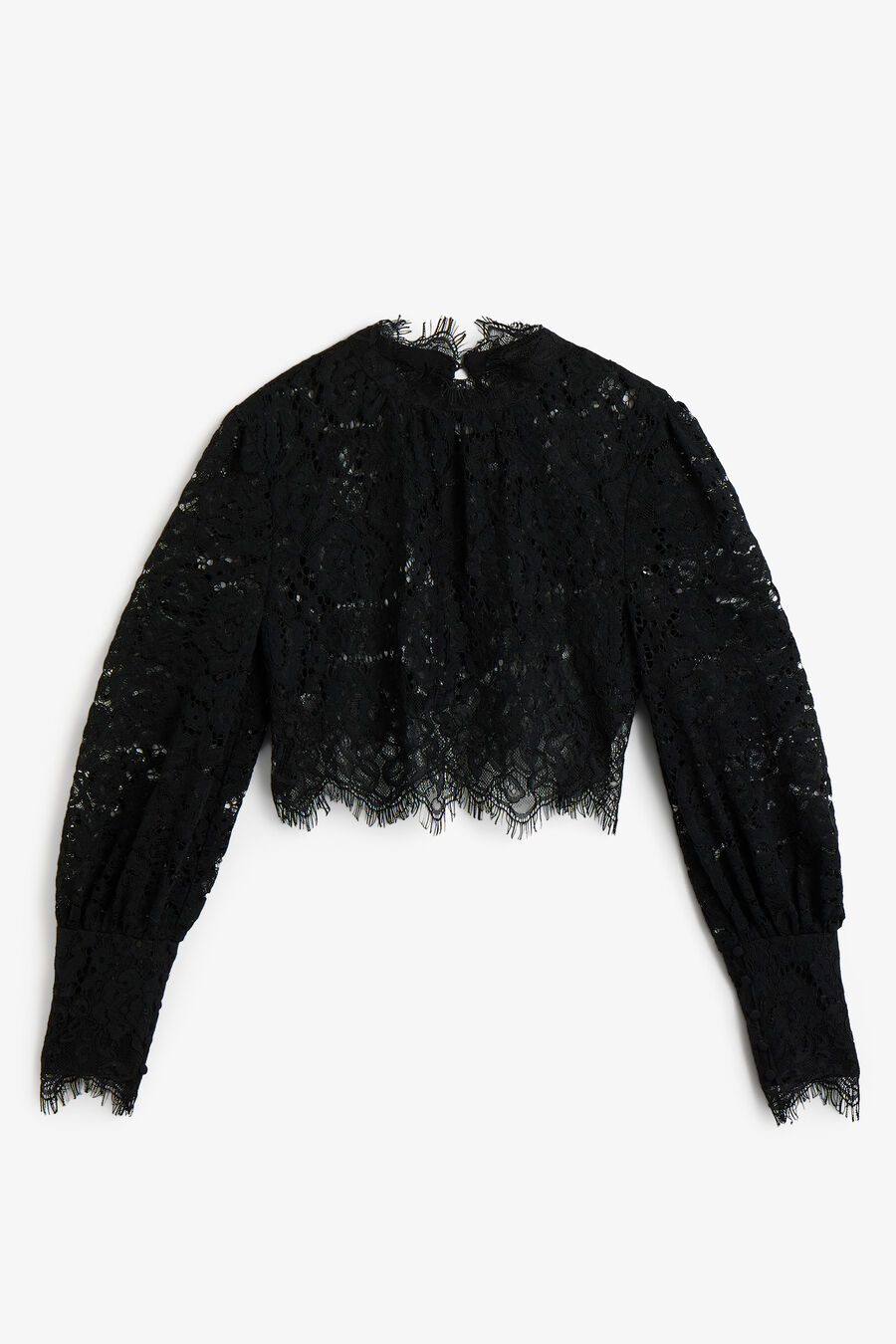 Georgia Long Sleeve Lace Top