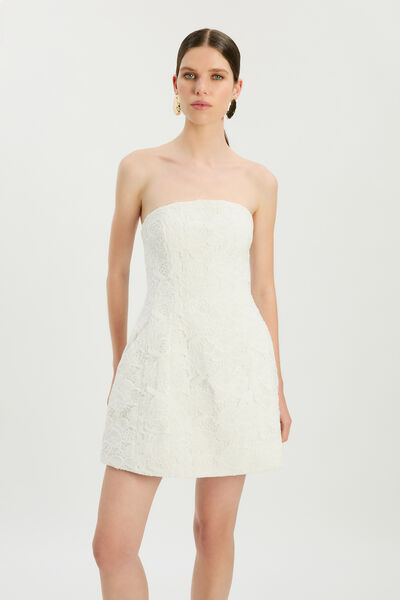 Karoline Lace Mini Dress