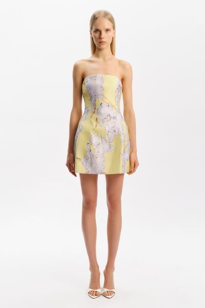 Karoline Hour Glass Mini Dress