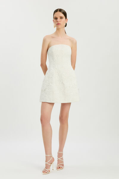 Karoline Lace Mini Dress
